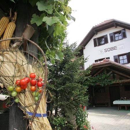 Farm Stay Frank Ozmec Wine And Glamping Estate Ljutomer Eksteriør billede